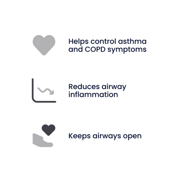 DuoResp Spiromax Inhaler